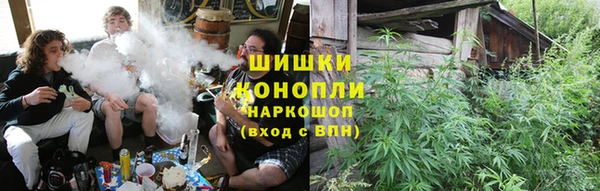 PSILOCYBIN Беломорск