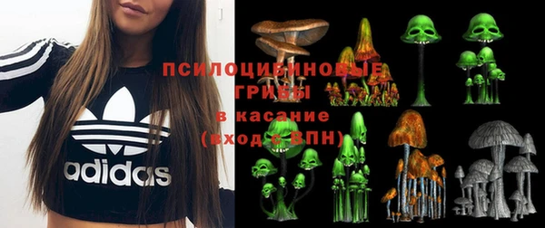 PSILOCYBIN Беломорск